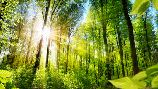 Sunshine: A Natural Anti-Inflammatory